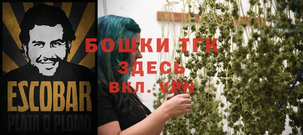 дурь Белая Холуница