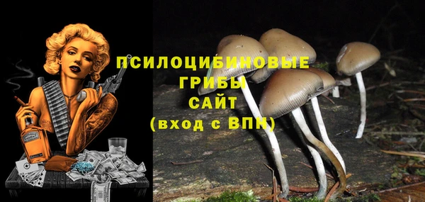 ешки Аша