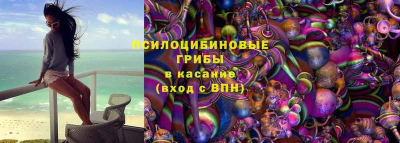 Галлюциногенные грибы MAGIC MUSHROOMS  кракен зеркало  Кострома 