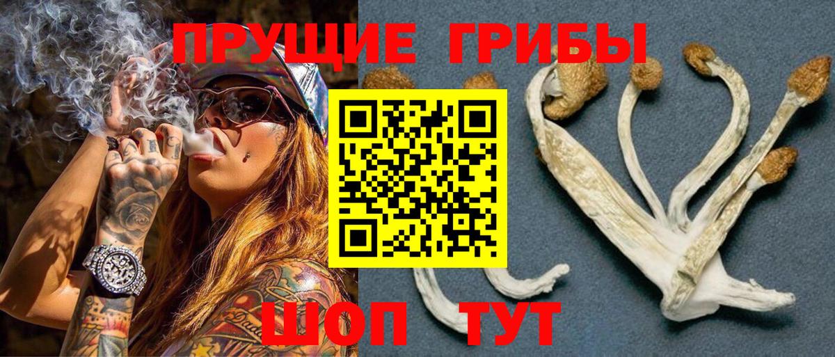 Кострома  дарнет шоп  Вход с VPN  Галлюциногенные грибы GOLDEN TEACHER 